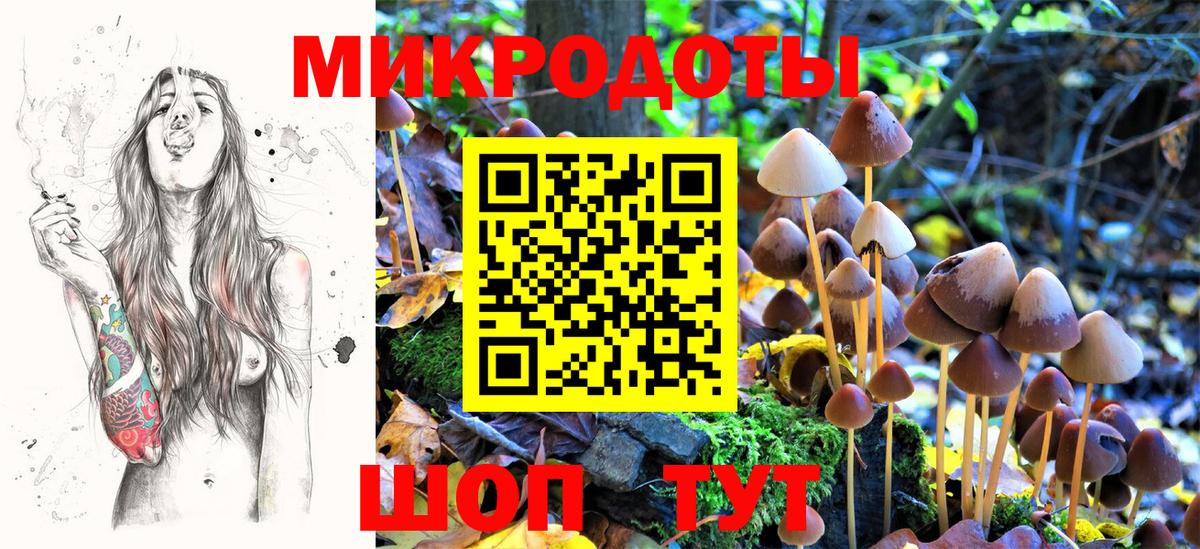 Галлюциногенные грибы Cubensis Новодвинск