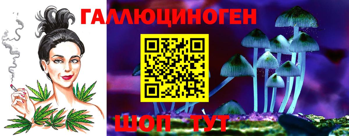 Псилоцибиновые грибы мухоморы  Вход с VPN  Галлюциногенные грибы Psilocybe  Новодвинск 